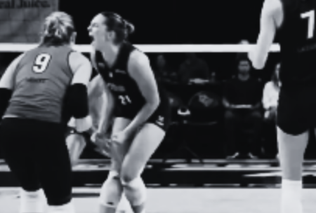 Orlando Valkyries - Pro Volleyball News